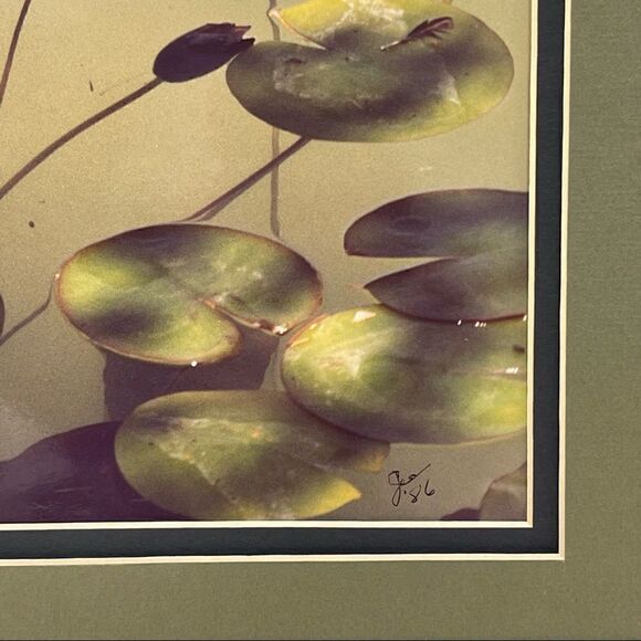 Waterlilies Lili Pad  Photograph Artist Signed Double Mat - Picture 7 of 9